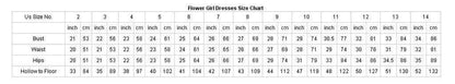Long Sleeves Lace Tulle Cinderella Princess Flower Girl Dresses FG003